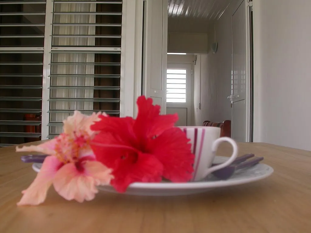 Maison De Vacances A St Anne Martinique Holiday home Sainte-Anne